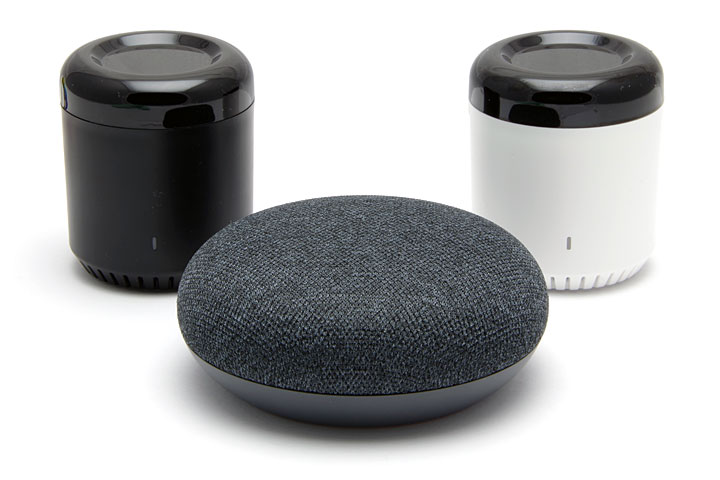 黒豆と白豆とGoogle Home Mini